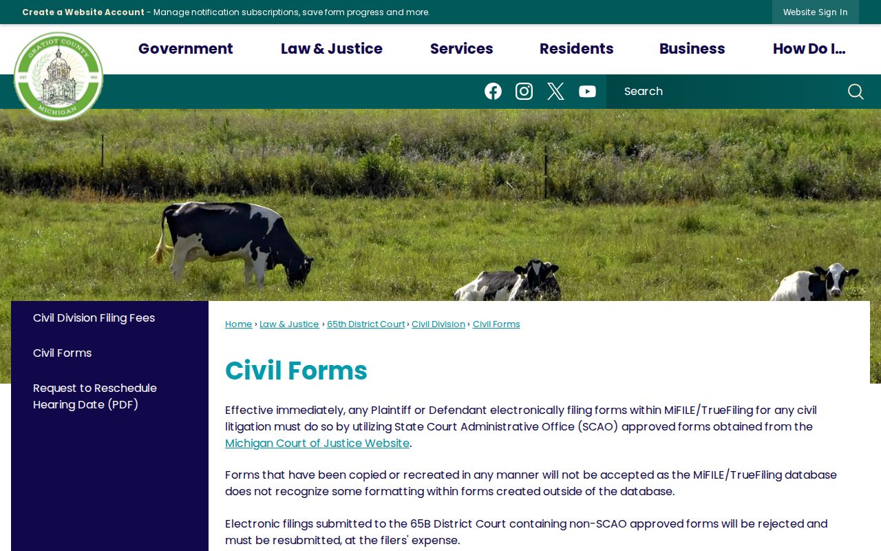 Gratiot County civil docket SCAO forms and protected PII guidance