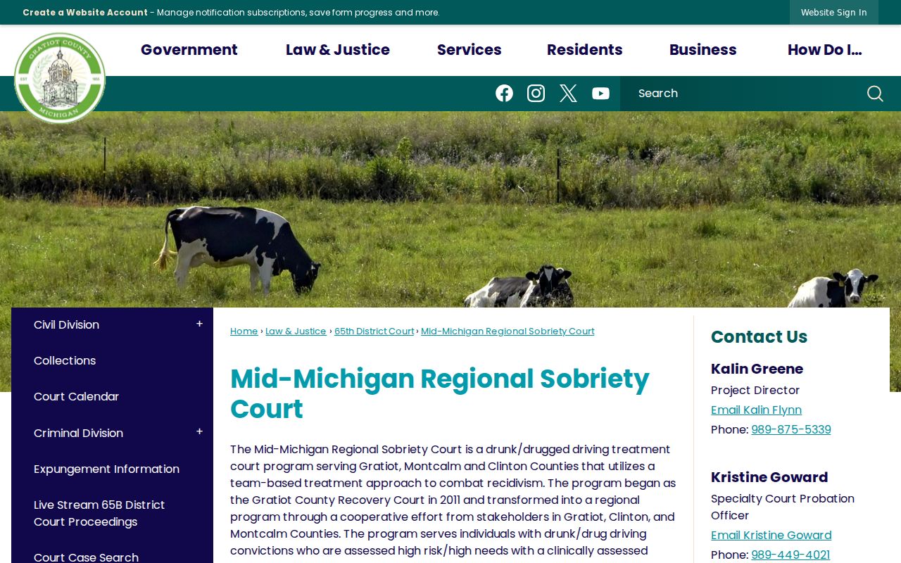 Gratiot County criminal docket Regional Sobriety Court eligibility information